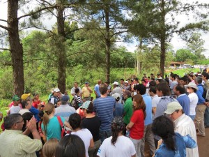 1380562_397203350408744_865637080_n